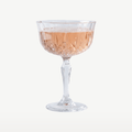 RCR Opera kieliszek do szampana / coupe 24 Cl – 6 sztuk