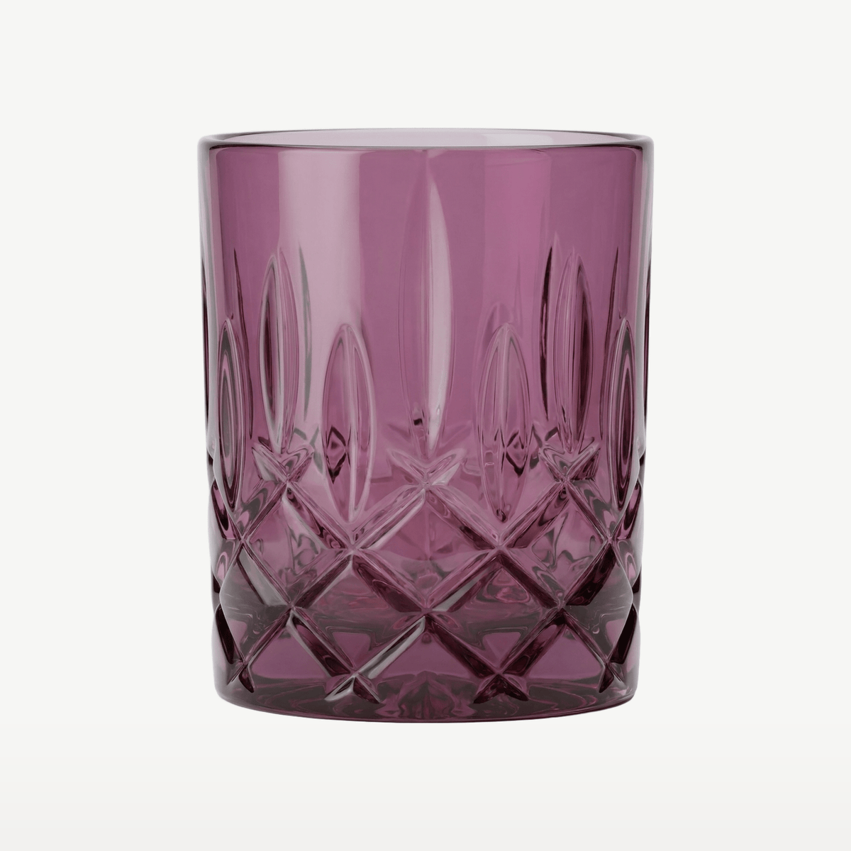 Nachtmann Noblesse Tumbler 29,5 Cl Paars - 2 Stuks - Glazen.nl