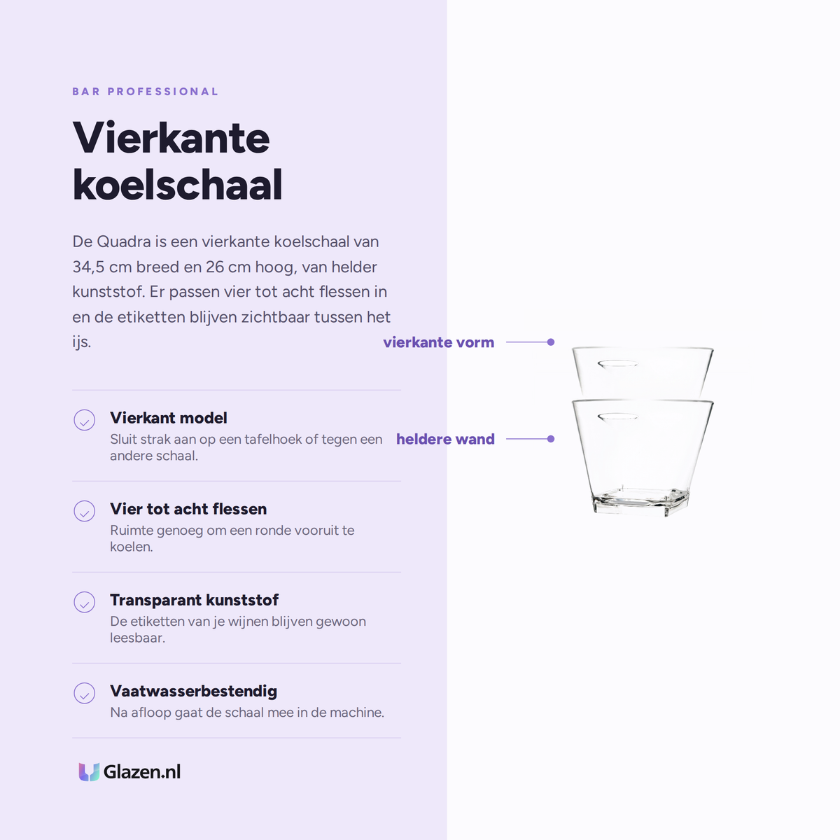 Infographic met de eigenschappen van Bar Professional Quadra Wijnkoeler Schaal Transparant 34,5 Cm
