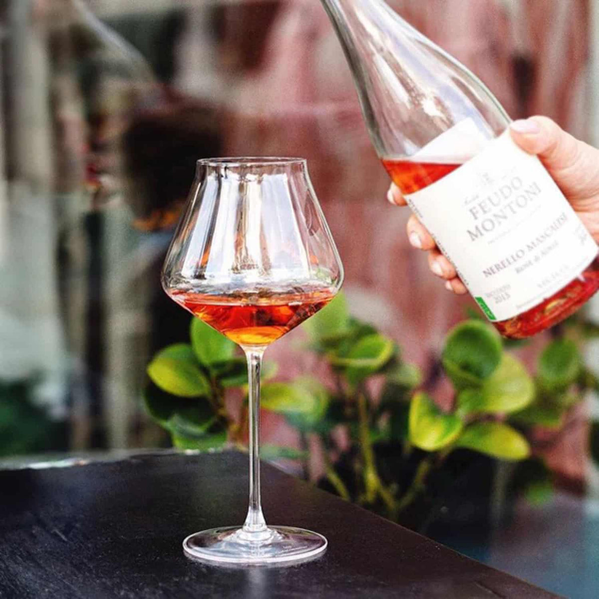 Chef i Sommelier Reveal Up