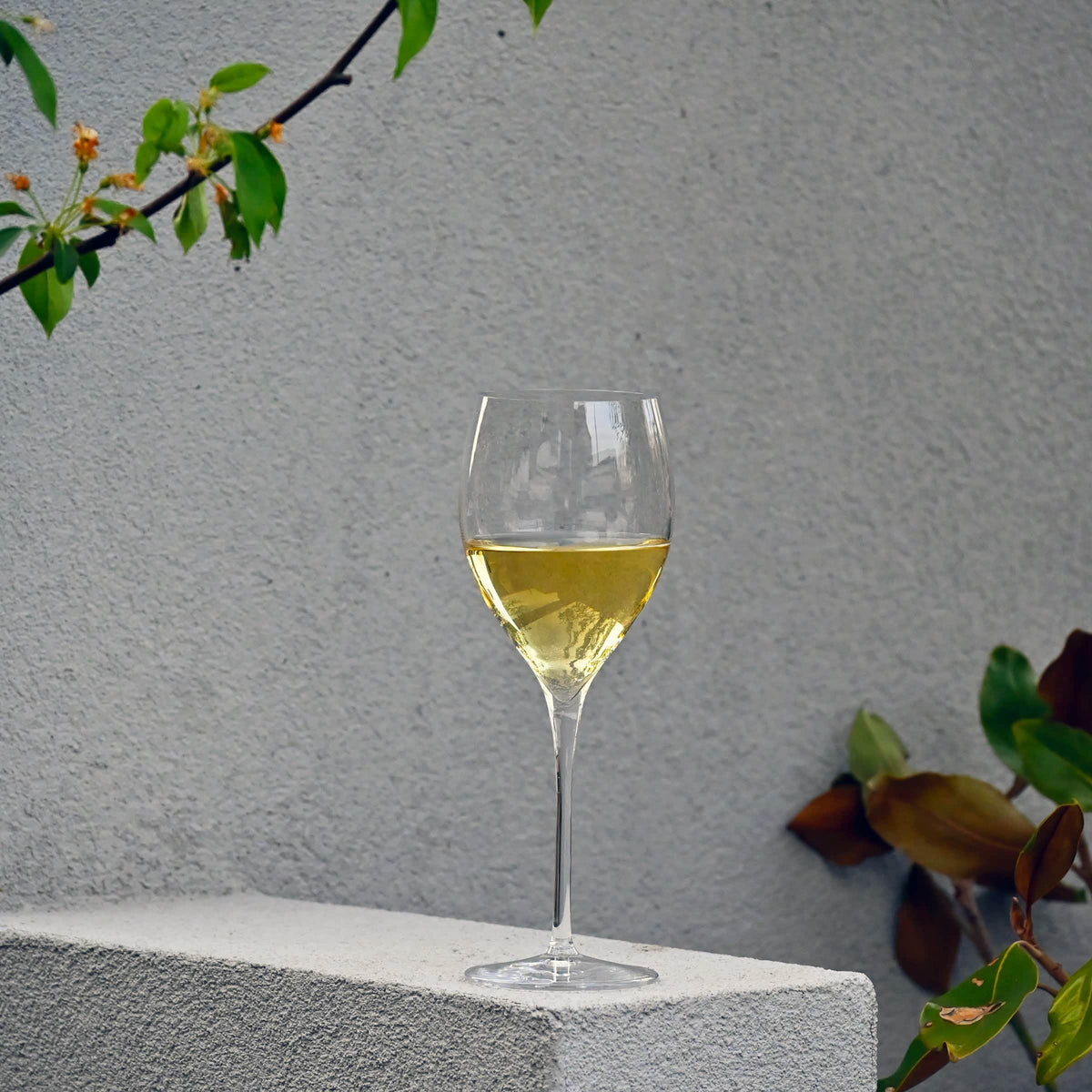 Luigi Bormioli Magnifico Wijnglas Large 59 Cl - 4 Stuks - Glazen.nl