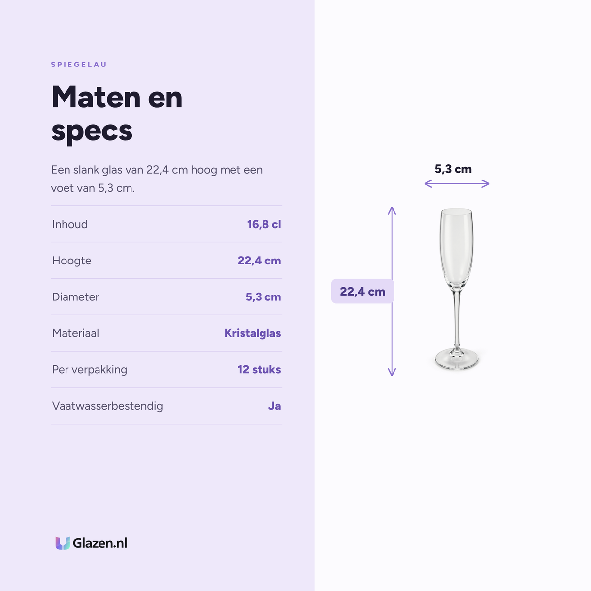 Maten en specificaties van het Spiegelau Festival champagneglas 16,8 cl